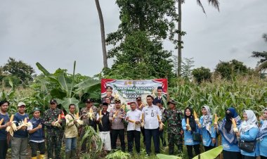 Panen Raya Jagung Serentak Tahap I dalam rangka mendukung Swasembada Pangan Tahun 2025 di Desa Anyar Kecamatan Anyar