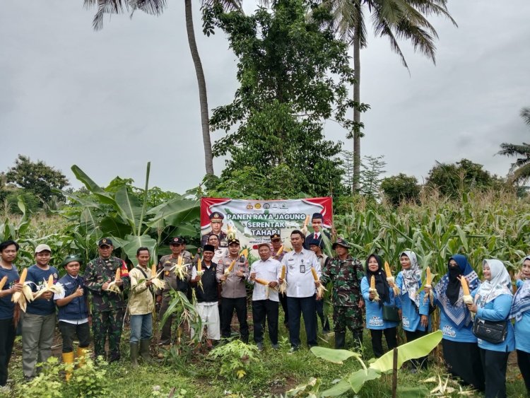 Panen Raya Jagung Serentak Tahap I dalam rangka mendukung Swasembada Pangan Tahun 2025 di Desa Anyar Kecamatan Anyar