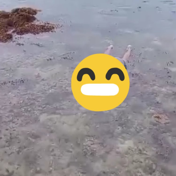 Wisatawan Bogor yang Terseret Ombak di Pantai Carita,   kini telah ditemukan dalam kondisi tak bernyawa