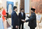 Satrio, Panda Pertama yang Lahir di Indonesia Setelah 10 Tahunn Jadi Sorotan di Pertemuan Prabowo dan MPR China