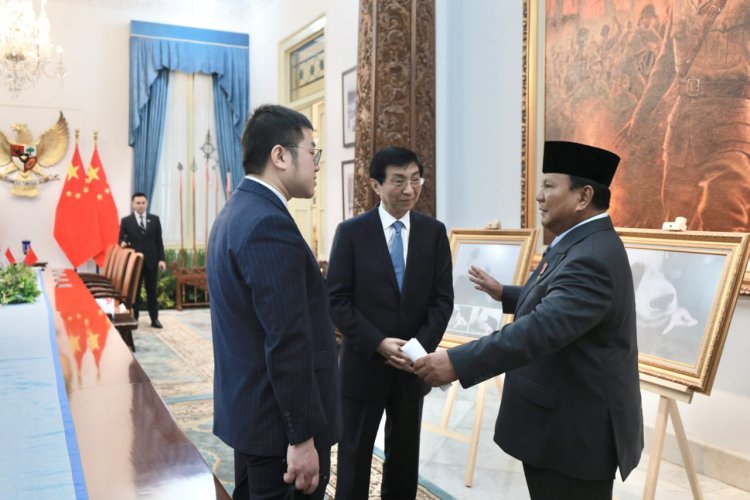 Satrio, Panda Pertama yang Lahir di Indonesia Setelah 10 Tahunn Jadi Sorotan di Pertemuan Prabowo dan MPR China