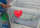 Gerak Cepat ! Pemda Kecamatan Anyar Turun Tangan Usai Viral Bayi Ditelantarkan di Halaman Rumah Warga