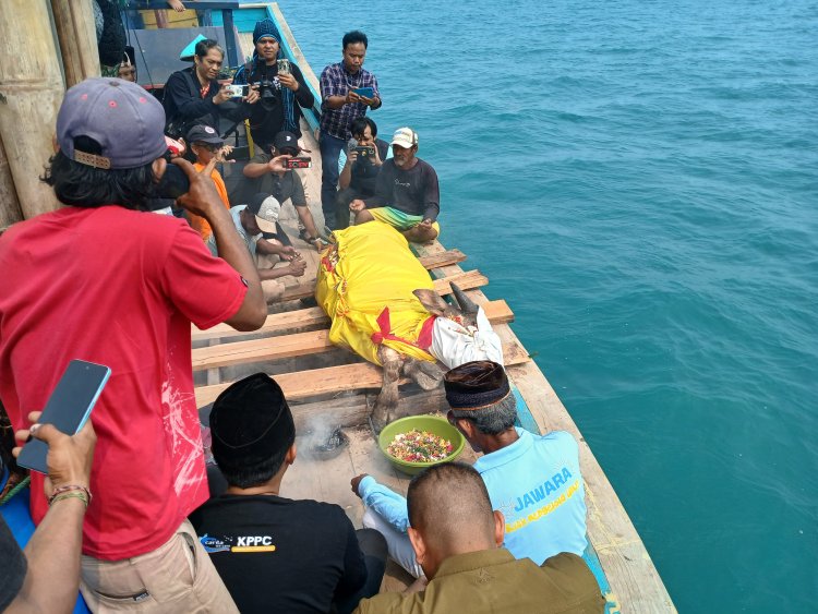 Kerbau Dilarung ke Laut, Warga Carita Panjatkan Doa bagi Delapan Korban Hilang